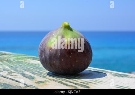One blue fig on green grunge wooden background against blue sea bokeh Stock Photo
