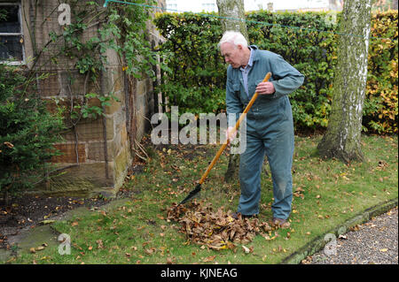 Grandfather and Grandson clearing leaves in the garden in North Yorkshire, UK. Stock Photo