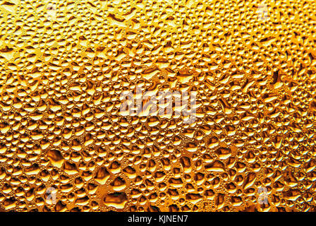 golden water drops on the window Stock Photo