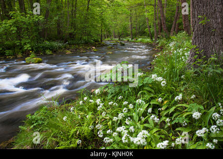 River Esk Egton Bridge North York Moors national park North Yorkshire Stock Photo