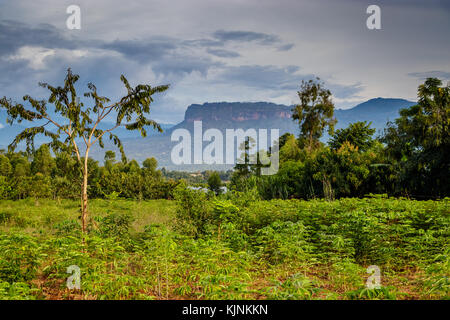 Uganda nature with the Mount Elgon national park in the background. This is close to Mbale. Stock Photo
