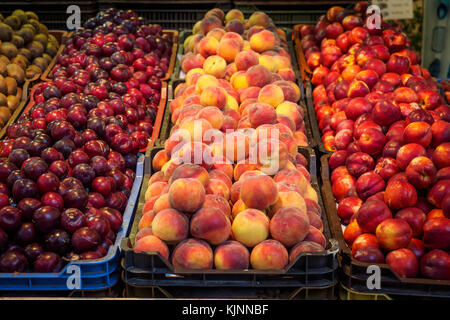 Different varieties of peaches on sale in a local market. Landscape format. Stock Photo