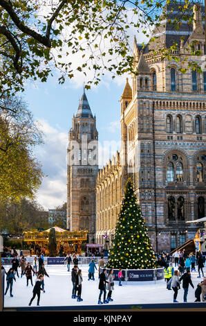 The Christmas Ice Rink at the Natural History Museum in London Stock Photo