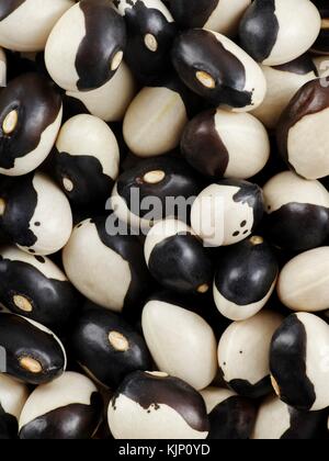 Okra beans, full frame. Stock Photo