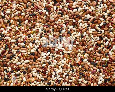 Mixed pulses, close up. Stock Photo