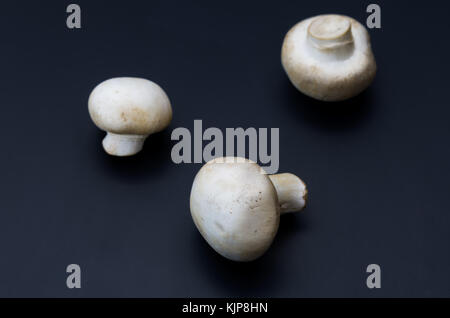 A composition of three mushrooms on a dark matte background. Stock Photo