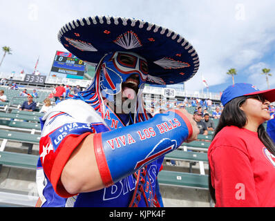 November 19, 2017 Buffalo Bills fans during the football game