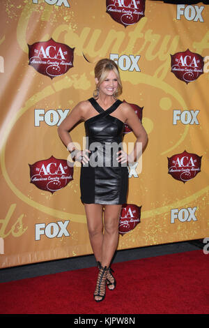 LAS VEGAS, NV - DECEMBER 6:  Nancy O'Dell  at the American Country Awards 2010 at the MGM Grand Hotel & Casino's Grand Garden Arena on December 6, 2010 in Las Vegas, Nevada   People:  Nancy O'Dell Stock Photo