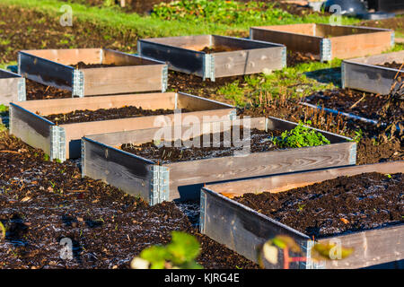 Frosty Topsoil In Pallet Collar Garden Frosty Topsoil In Pallet Collar Garden