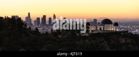 Green trees dominate the foreground with the city skyline of Los Angeles in the background Stock Photo