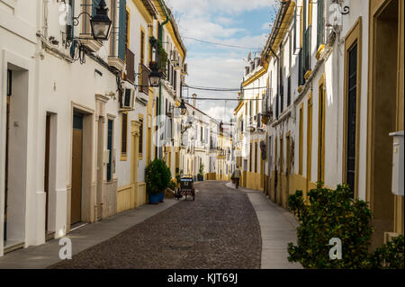 Patios, Barrio de San Basilio quarter, Córdoba, Andalucia, Spain Stock Photo