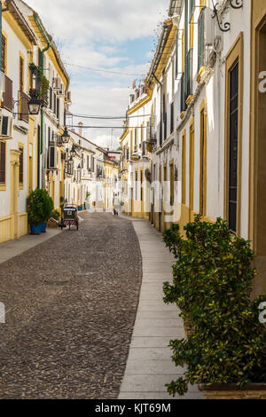 Patios, Barrio de San Basilio quarter, Córdoba, Andalucia, Spain Stock Photo