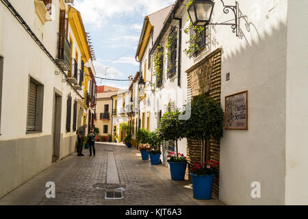 Patios, Barrio de San Basilio quarter, Córdoba, Andalucia, Spain Stock Photo