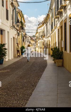 Patios, Barrio de San Basilio quarter, Córdoba, Andalucia, Spain Stock Photo