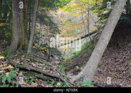 Shades State Park, Parke County, Indiana 10 17 Stock Photo