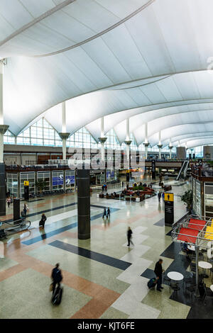 Interior featuring fiberglass roof (designed by Fentress Bradburn ...