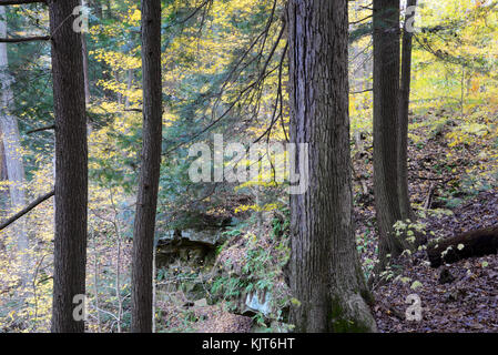 Shades State Park, Parke County, Indiana 10 17 Stock Photo