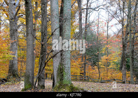 Shades State Park, Parke County, Indiana 10 17 Stock Photo