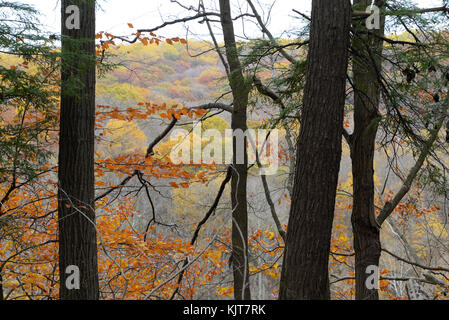 Shades State Park, Parke County, Indiana 10 17 Stock Photo