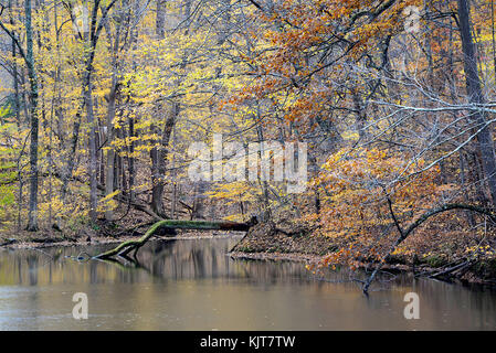 Shades State Park, Parke County, Indiana 10 17 Stock Photo