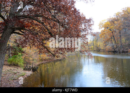 Shades State Park, Parke County, Indiana 10 17 Stock Photo