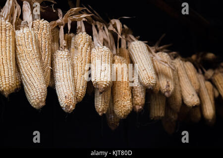 Corn hanging on a rope to dry in an old poor building in a hmong village in Vietnam Stock Photo