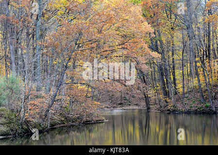 Shades State Park, Parke County, Indiana 10 17 Stock Photo