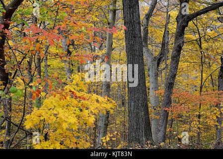 Shades State Park, Parke County, Indiana 10 17 Stock Photo