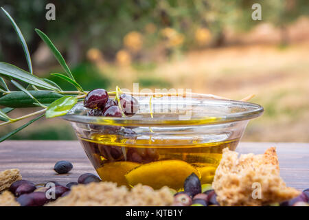 Bowl with extra virgin olive oil, olives, a fresh branch of olive tree and cretan rusk dakos close up on wooden table, Crete, Greece. Stock Photo