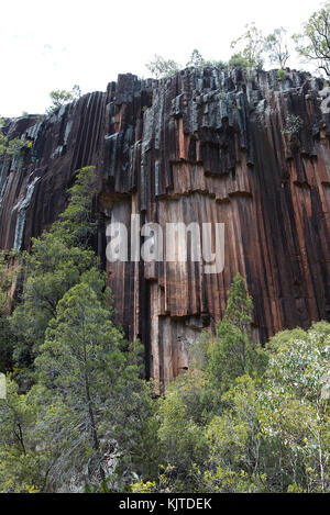 Sawn Rocks is a 40 metre basalt cliff face featuring perpendicular ...
