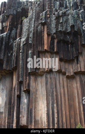 Sawn Rocks is a 40 metre basalt cliff face with perpendicular ...