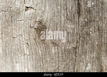 An old wooden texture with traces of destruction. Stock Photo