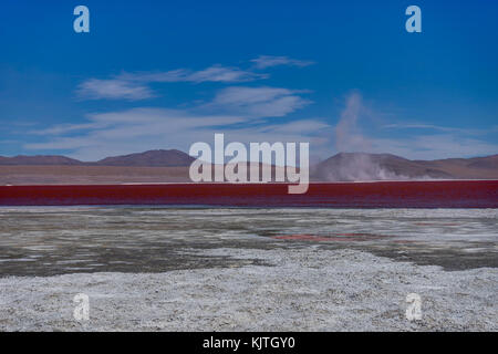 Photo taken in August 2017 in Altiplano Bolivia, South America: Pink Flamingos at Laguna Colorada Altiplano Bolivia Stock Photo