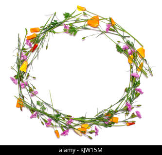 Round frame of delicate flowers. Spring yellow, purple, pink flowers on white background. View from above, flat lay, top view Stock Photo