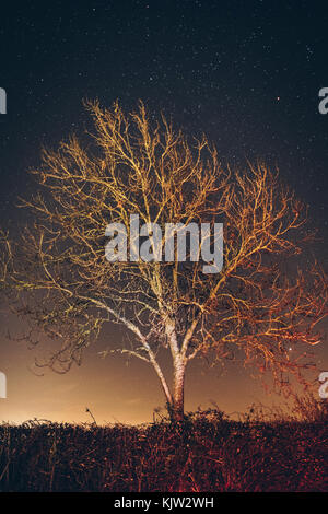 Night sky over Godmanchester Stock Photo