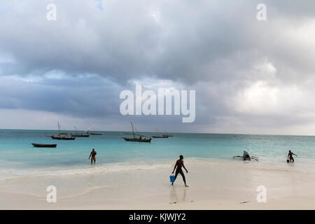 Nungwe, Zanzibar, Tanzania; fishermen bring in their catch. Stock Photo