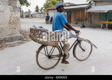 Nungwe, Zanzibar, Tanzania; A fish trader takes a fresh caught sailfish he has just bought from the market on the beach to  nearby resort hotel. Stock Photo