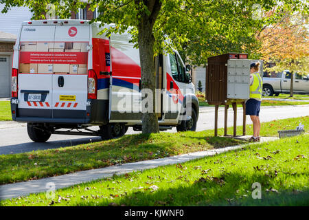 Canada Post mail worker, letter carrier delivering lettermail at a mailbox in a residential area, London, Ontario, Canada. Stock Photo