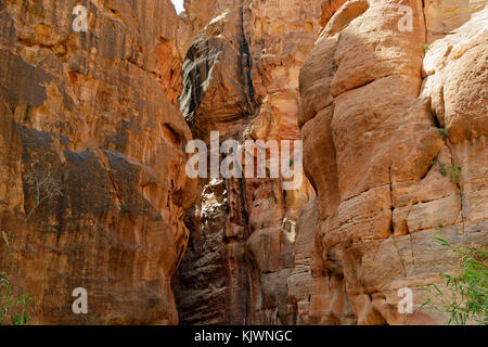 Pathway to the ancient city of Petra, Jordan. The pathway is a Siq - narrow gorge carved by water flow. Stock Photo