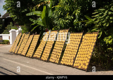 Rice Cassava drying in a quiet street in Luang Prabang Stock Photo