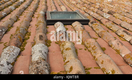 An old roof made of brick covered with moss.Closeup from an old roof Stock Photo