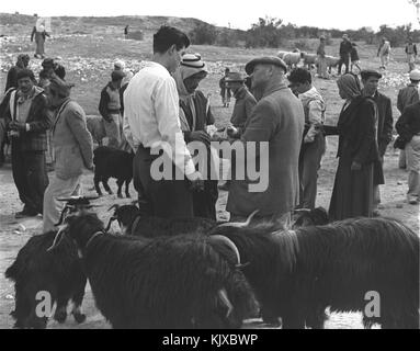 MARKET DAY IN BEER SHEVA, 1954 Stock Photo