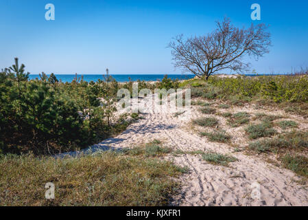 Sand dunes between Baltic Sea and Bukowo Lake in West Pomeranian Voivodeship of Poland Stock Photo