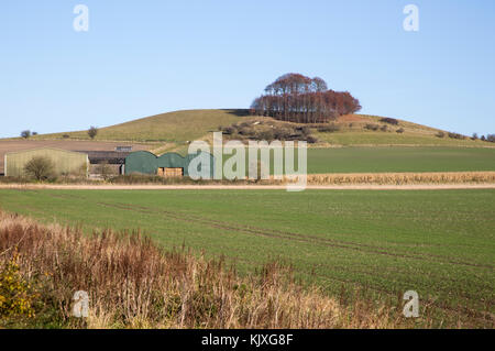 Chalk landscape in winter, Woodborough Hill, Wiltshire, England, UK Stock Photo