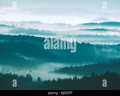 Autumn sunrise. Deep forest in a beautiful hilly landscape within inversion weather. Treetops  increased from foggy background. Vivid effect. Stock Photo