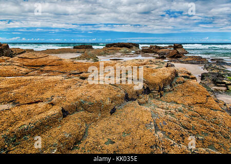 Coastal stones of the ocean during an outflow. Small red shells on a stone, waves of the ocean and the blue sky with white clouds Stock Photo
