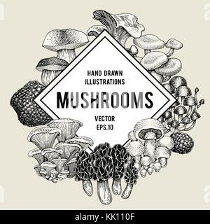Vector mushroom illustrations. Hand drawn set of different fungus kinds. Vector banner or logo template. Retro illustration. Stock Vector