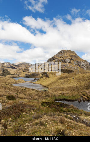Ecuador Landscape - Cajas National Park ( Parque Nacional Cajas ), Southern Highlands, Ecuador, South America Stock Photo