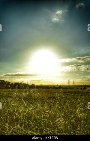 Sunset over beautiful corn fields in Kent UK Stock Photo - Alamy