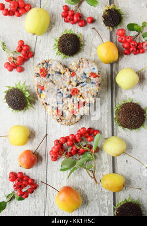 Heart shaped bird feeder made with wild berries, seed and melted fat, shaped in a cookie cutter, decorated with berries, crab apples and sunflowers Stock Photo